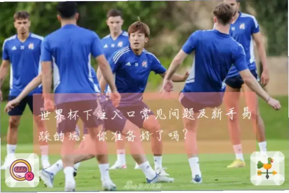 体育竞猜新手容易踩哪些坑？