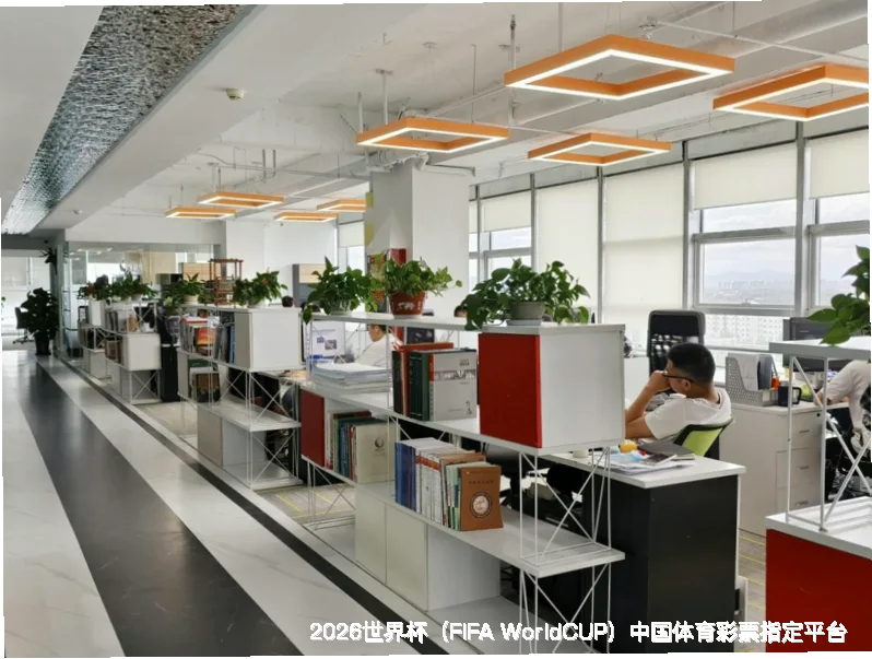 未来愿景与发展方向